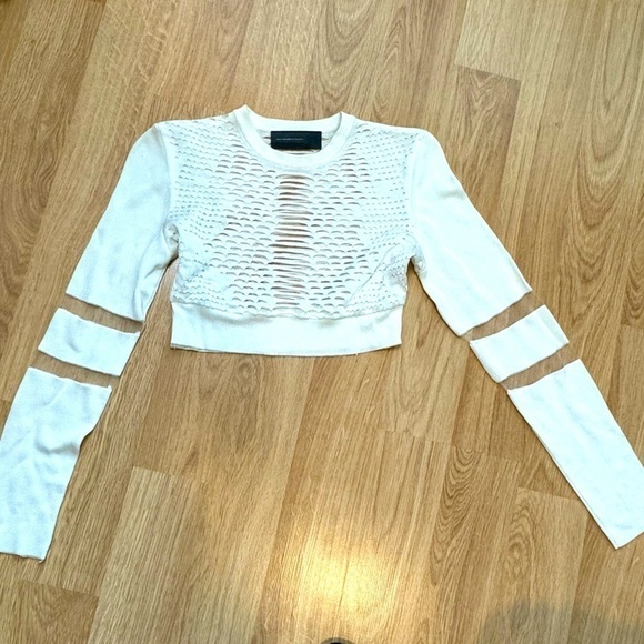 Alexander Wang Tops - ALEXANDER WANG X H&M Cropped Long Sleeve Mesh Panel Top VGUC